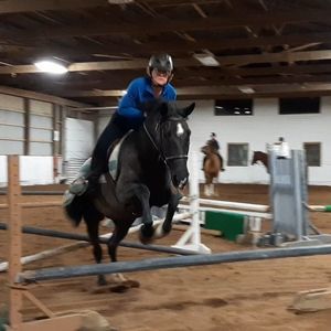 Meet your Posher, Carole